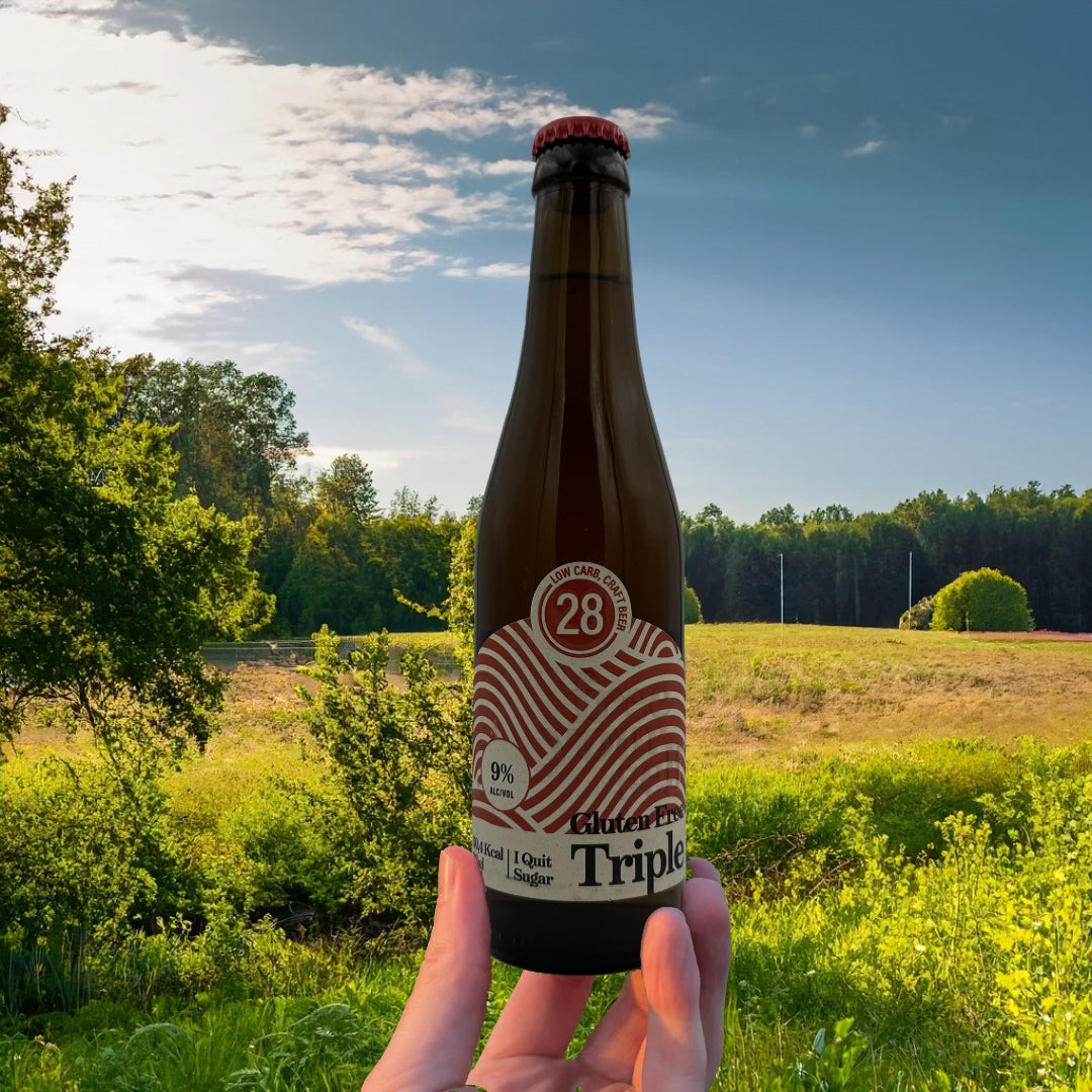 000 ___ Modèle Losse bières
