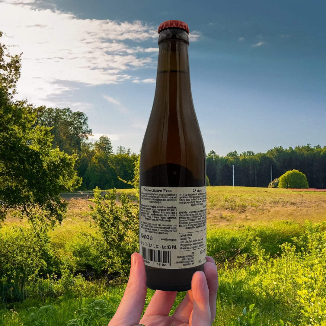 000 ___ Modèle Losse bières