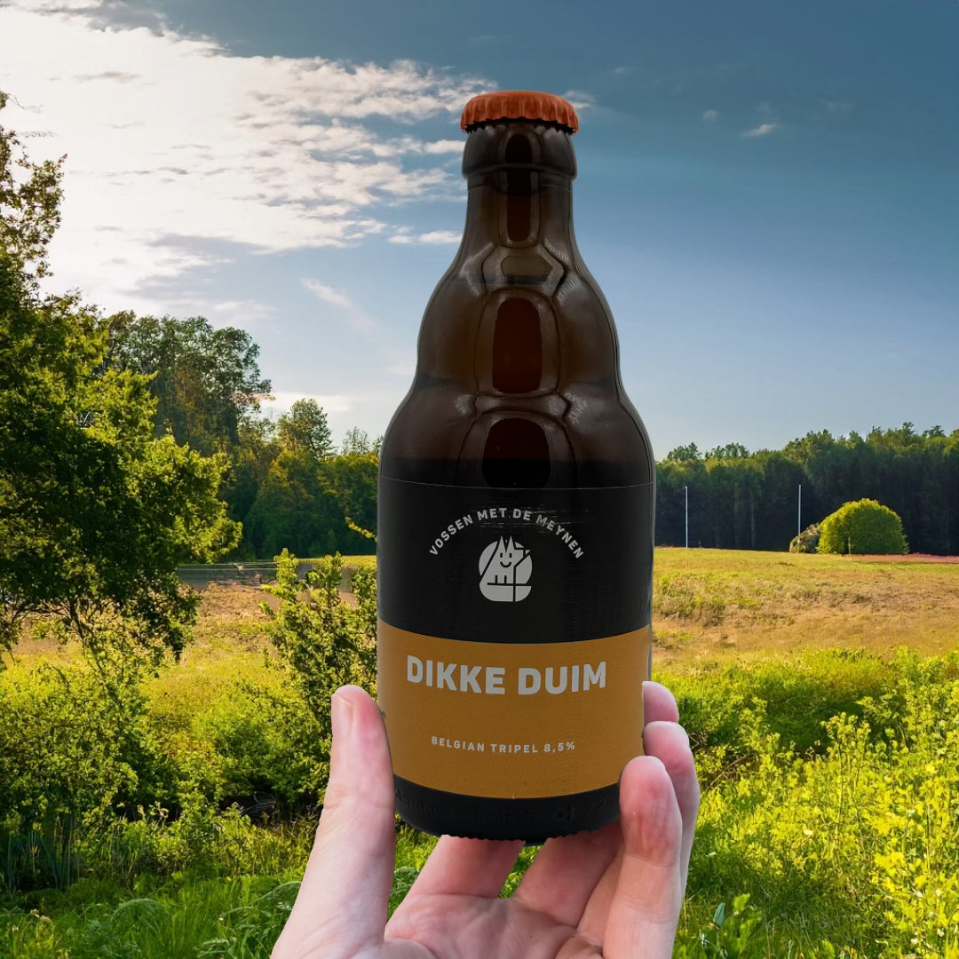000 ___ Modèle Losse bières