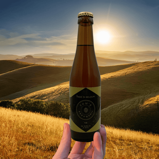000 ___ Modèle Losse bières