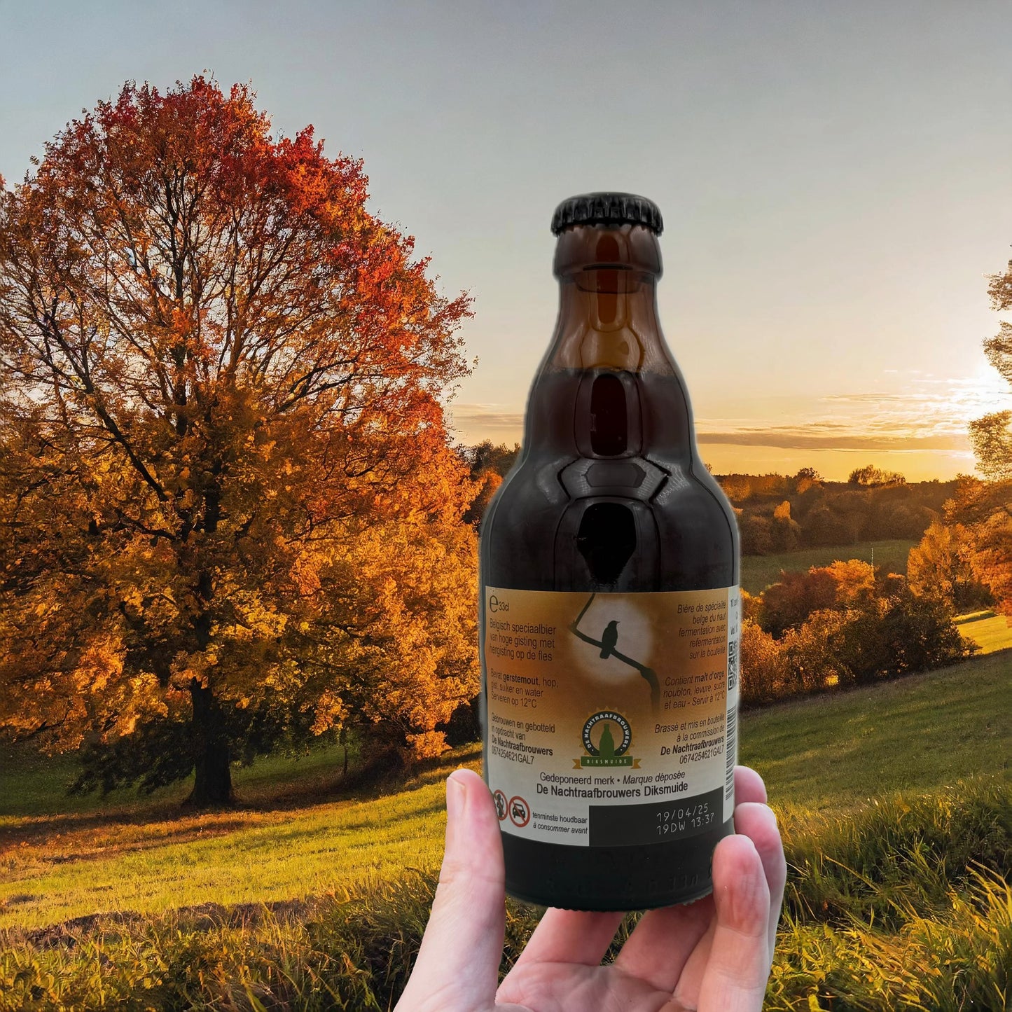Nachtraaf Quadrupel