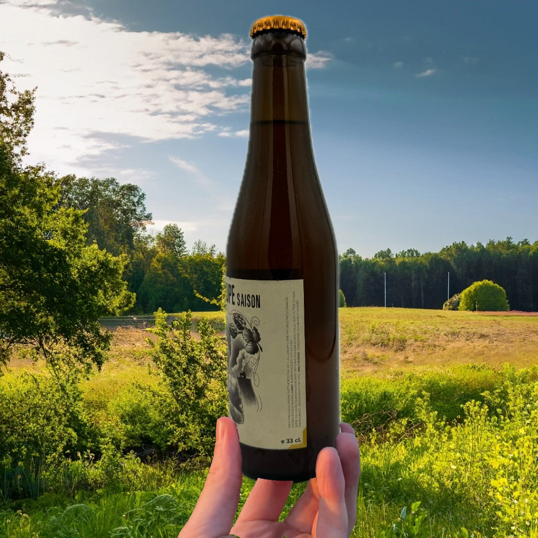 Bachten De Kupe Saison