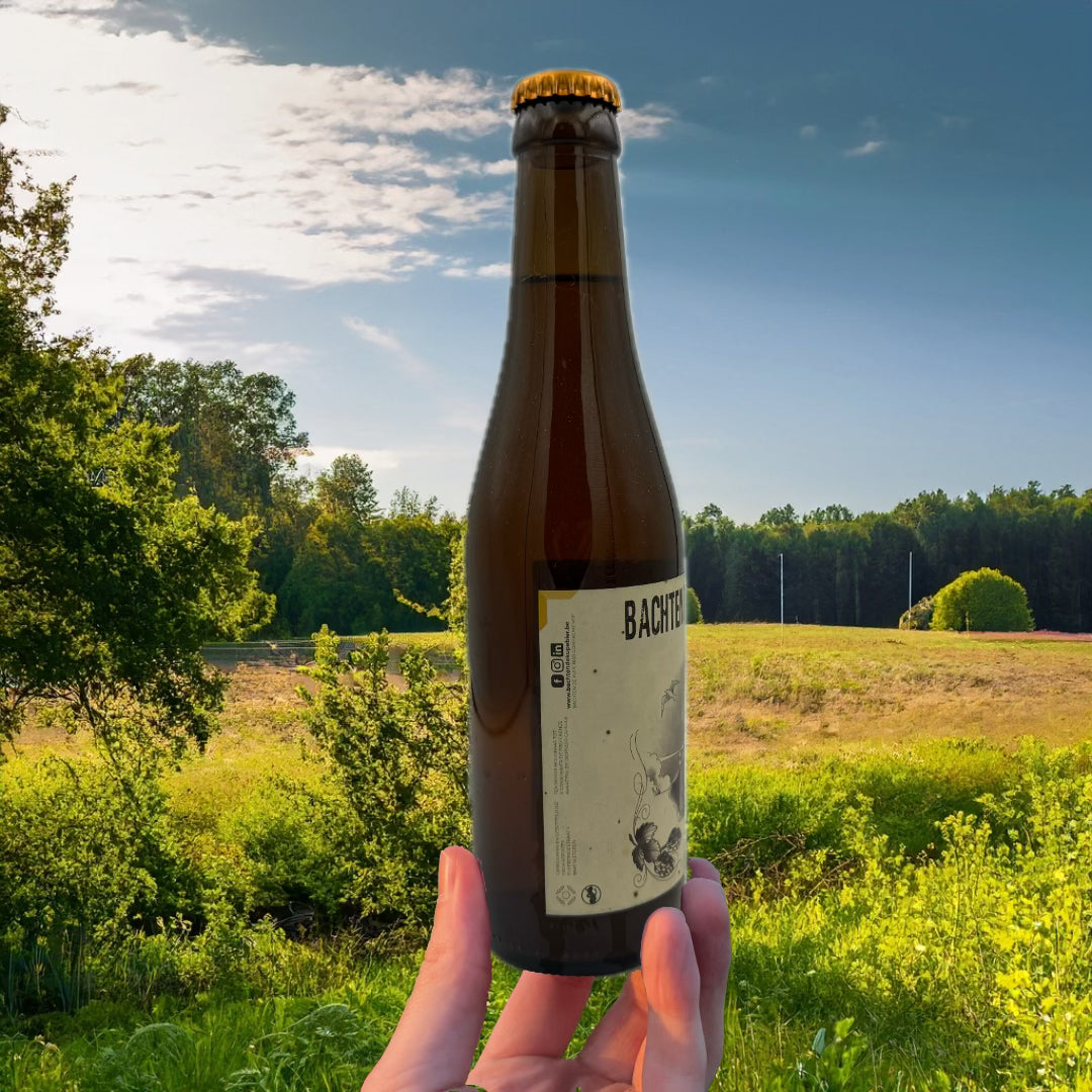 Bachten De Kupe Saison